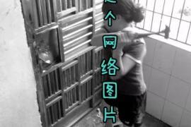 吴军微博讨债事件后续：揭秘网络舆论的力量与影响