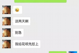 讨债公司坯子C同志：揭秘讨债行业的幕后英雄