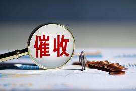 如何骂催收人员：理智与法律的边界