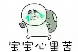 借呗催收说法院起诉：了解借呗逾期处理流程