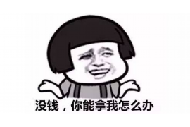 起诉讨债程序流程：全面解析与实操指南